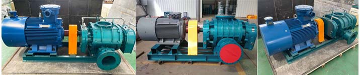 直聯(lián)傳動羅茨風(fēng)機(jī) 直聯(lián)傳動羅茨風(fēng)機(jī)