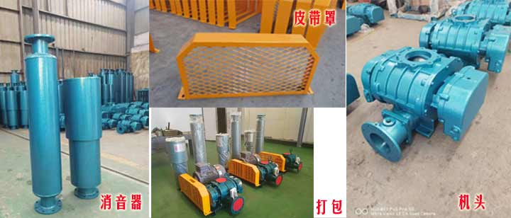 三葉羅茨風機(皮帶型)實拍 三葉羅茨風機(皮帶型)實拍